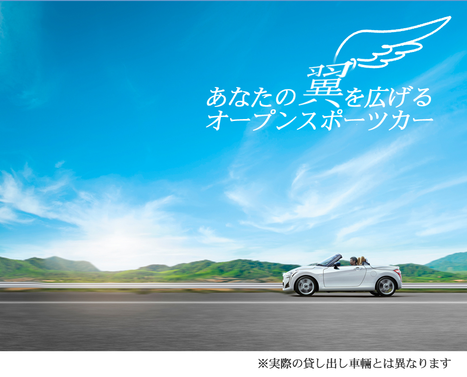 rentalcar_24